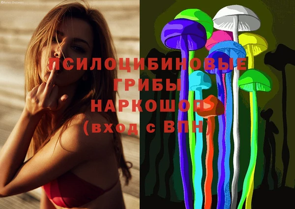 2c-b Алзамай
