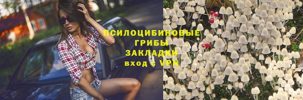 метадон Алексеевка