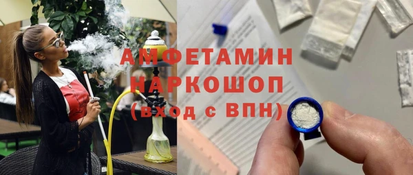 гидра Алексин