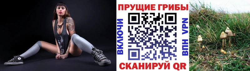 Галлюциногенные грибы GOLDEN TEACHER  Вихоревка 